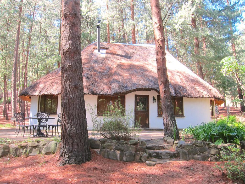 Giantscup Wilderness Reserve Underberg Extérieur photo